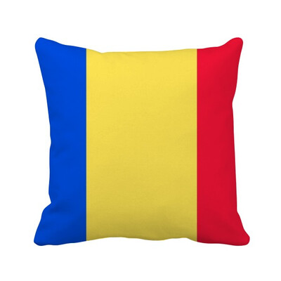 

Romania National Flag Europe Country Square Throw Pillow Insert Cushion Cover Home Sofa Decor Gift