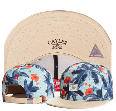 

2018 Оптовые бейсболки Cayler & Sons Бруклинские шапки с капюшоном регулируемые шляпы для мужчин с костями
