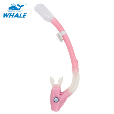 

Whale Brand hot sale professional scuba diving equipment breathing tube