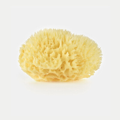 

QUATREFOIL natural honeycomb bath sponge baby bath ball bath beauty sponge