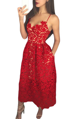 

Lace Hollow Out Nude Illusion Party Dress