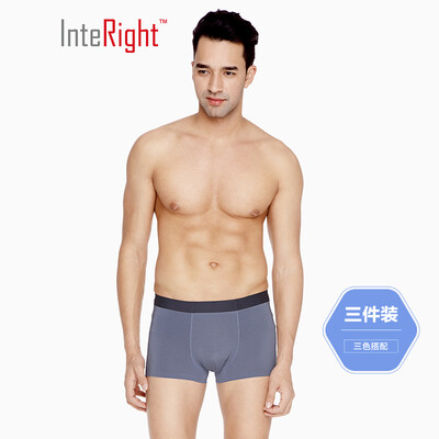 

INTERIGHT underwear mens modal bag net color antibacterial inner boxer 3 boxed mixed color