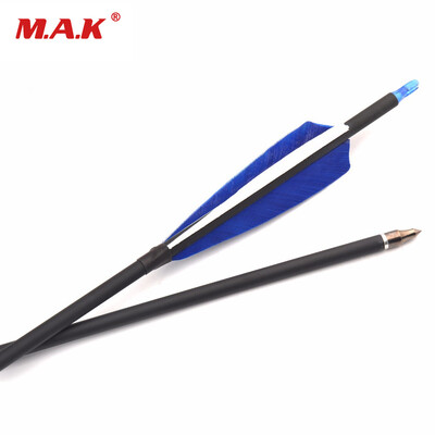 

6 Pcs Carbon Arrow Length 30 inches Spine 600 Outer Diameter 78mm 2 Blue 1 White Turkey Feature for Archery Hunting