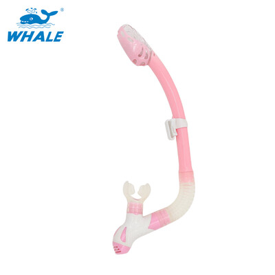 

Whale Brand professional scuba diving equipment breathing tube with 6 colors snorkel with high quality