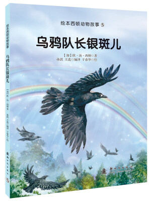 

乌鸦队长银斑儿