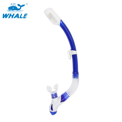 

Whale Dry Snorkel with Comfortable Silicone Mouthpiece&Purge Valve for Snorkeling&Scuba Diving