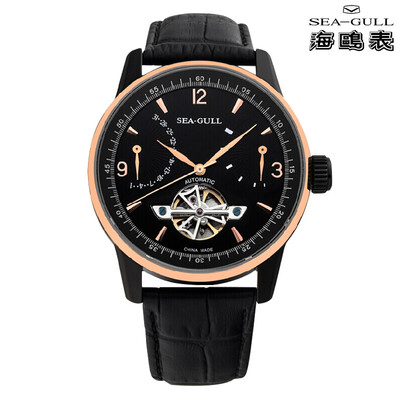 

SeaGull（Чайка） автоматический механизм мужские часы 219.327
