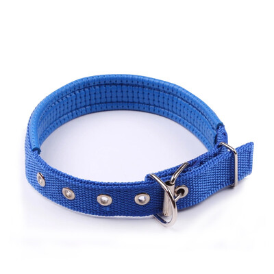 

HANHANLEYUAN dog collar small dog teddy golden hair pet collar small&medium dog dog collar collar collar collar pet supplies S number about 1220 kg pet