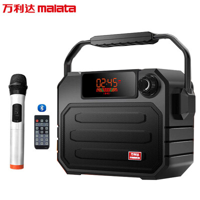 

Malata X06 Wireless Speaker
