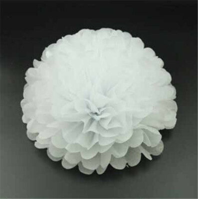 

25cm Craft Paper Tissue Ceiling Decor Wall Decor Hanging Paper poms Flower Ball Wedding Party Outdoor Decoration Flower