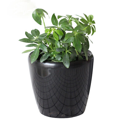 

Fruit flower gray wall hanging flower pot resin wall hanging flower pot creative lazy hanging bowl