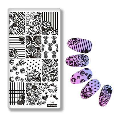

Фруктовый лист Планка для тиснения Прямоугольник Nail Art Image Plate Ананас Геометрия Цветочный дизайн Шаблон шаблона