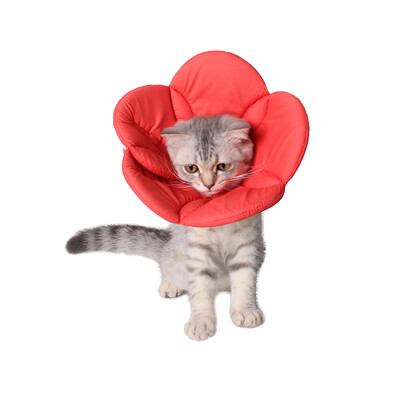 

Pet Collar Elizabethan Collars Recovery Pet Cone for Cats&Small Dogs Breathable Soft Edge&Easy to Clean