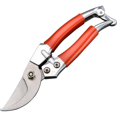 

Handen Branches cut stainless steel fruit tree scissors home pruning shears scissors garden gardening scissors 630415