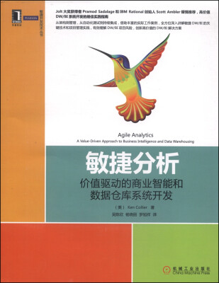

敏捷分析：价值驱动的商业智能和数据仓库系统开发