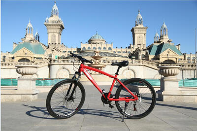 

Ship Form RU 21 Speed Mountain Bike 26-Inch High-Carbon Steel Dual Disc Brakes One Wheel Speed Damping Bicycle