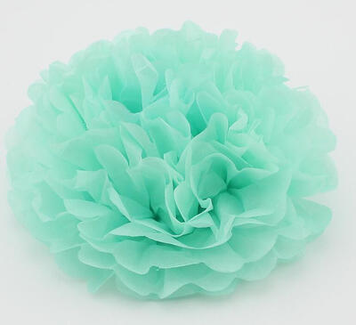

25cm Craft Paper Tissue Ceiling Decor Wall Decor Hanging Paper poms Flower Ball Wedding Party Outdoor Decoration Flower