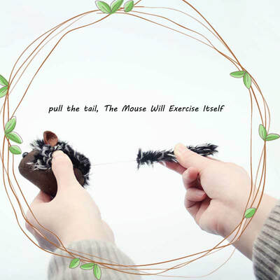 

Cat Chew Toy RaccoonBeaverMachine Mouse Durable Squeaky Catnip Plush Nontoxic Toy