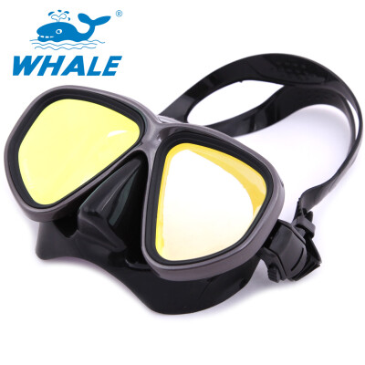 

Whale Professional Adult Anti-Fog Оборудование для дайвинга Регулируемое плавание Защитные очки Маска для подводного плавания