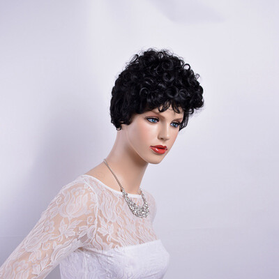 

QianBaiHui Afro Curly Hair Wigs for Black Women Short Kinky Hair Wigs Black Heat Resistant Synthetic Fiber Fashion Wigs Wig Ca