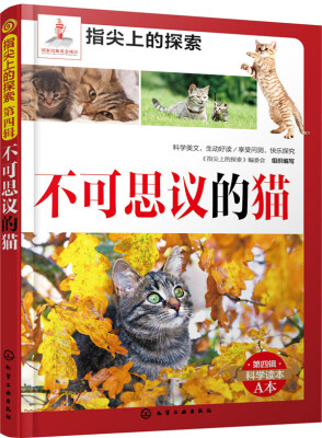 

指尖上的探索：不可思议的猫（附显隐灯）