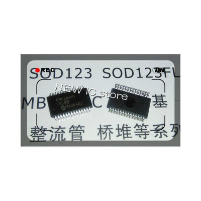 

FREE SHIPPING 50PCS ENC28J60/SS ENC28J60 SSOP-28 NEW IC