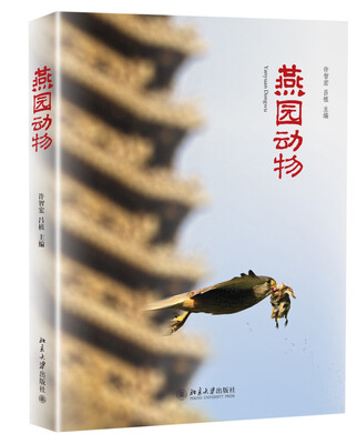 

燕园动物