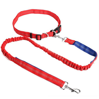 

Reflective Pet Dog Walking Leash Traction Rope Slip Lead Training Elastic Dog Collar Belt Adjustable Nylon Strap