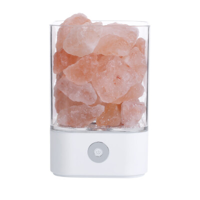 

TOMNEW Natural Himalayan Salt Lamp USB Real Himalayas Himilian Pink Salt Crystal Rock Lamp Good for Health Small Mineral Negative