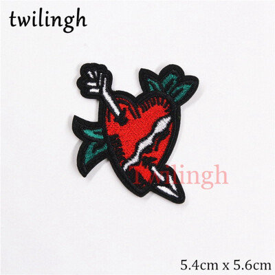 

twilingh 1PC Patches Fruit Shape For Children Clothing Embroidered Iron On Patch For Clothes