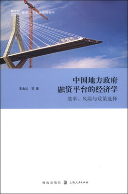 

中国地方政府融资平台的经济学效率、风险与政策选择