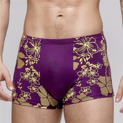 

Fashion Underwear Men Boxers Underpants