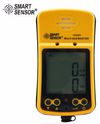 

AS8903 Portable High Sensitive CO Gas Sensor Monitor LCD Display 2 in 1 Carbon Monoxide Hydrogen Sulfide Gas Detector