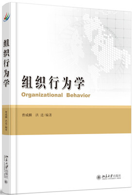 

组织行为学