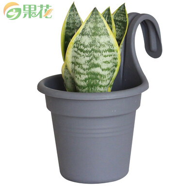 

Fruit flower gray wall hanging flower pot resin wall hanging flower pot creative lazy hanging bowl