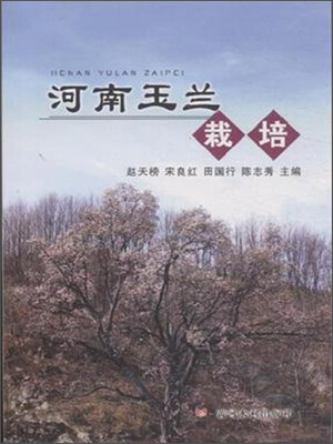 

河南玉兰栽培