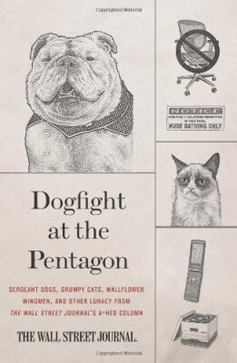 

Dogfight at the Pentagon