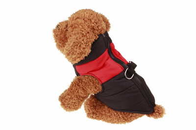 

Dog Clothes For Small Dogs Winter Puppy Chihuahua Pet Dog Clothes Waterproof Medium Large Dog Coat Jacket Ropa Para Perros -5XL