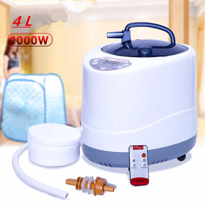 

Steam Generator 220V EU Plug 2000W Larger Capacity 4L Steamer Pot for Steam Sauna Wooden Barrels Large steam