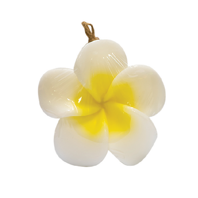 

iRA Thai Essential Oil Handmade Flower Soap - Plumeria Obtusa
