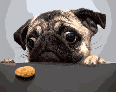 

Interesting Animals Oil Painting Diy Oil Painting Paint by Number Kits on Canvas without Wooden Framed for Adults Beginners Kids -