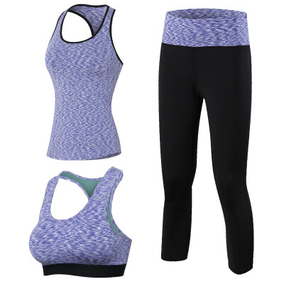 

3 Pieces Fitness Quick Dry Workout Sport Suit Tights Run Sport Bra