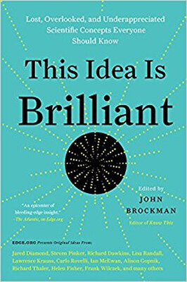 

This Idea Is Brilliant Lost Overlooked&Un