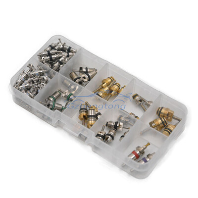 

100 pcs Assortment AC Shrader Valve Core HVAC R134aR12R22 Kit 11 Size Auto Accessories