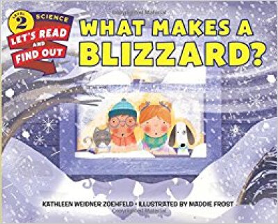 

What Makes a Blizzard