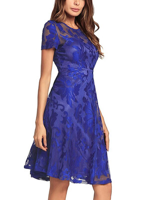 

Sheer Lace Pleated O Neck Short Sleeve High Waist Swing Dress Homecoming Dress