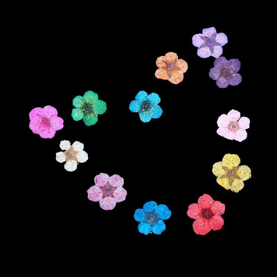 

12 Colors Real Nail Dried Flowers Nail Art Decoration DIY Tips Fashion New ZO5E2