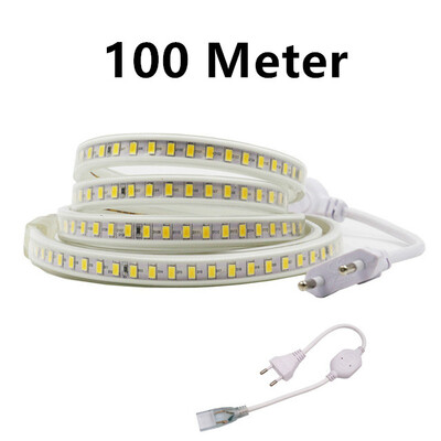 

220V 120Ledm Led Strip light 5730SMDSuper Bright 1m2m3m4m5m10m20m WhiteWarm White Waterproof Led Light With EU Plug