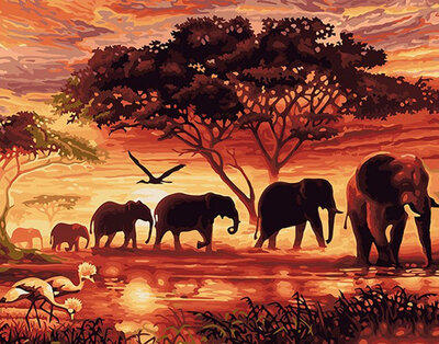 

Diy Oil Painting Paint by Numbers Kit on Canvas for Adults Beginners -Elephants With Sunset