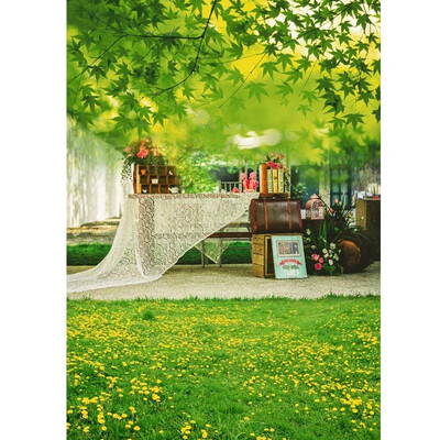 

Courtyard View Photo Backdrop 57FT Vinyl Fabric Cloth Digital Printing Photo Background s-725